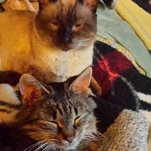 Meet your Posher, Cindy